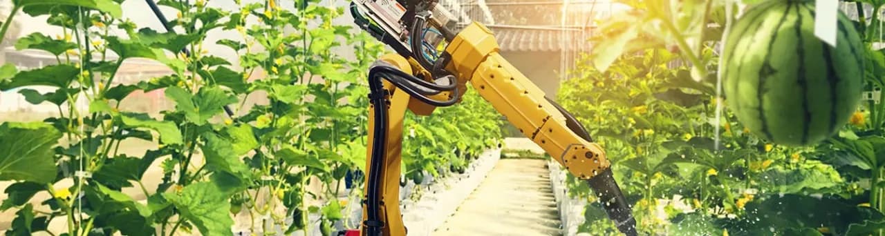 Sztuczna inteligencja jak zacząć - proste kroki do sukcesu w AI